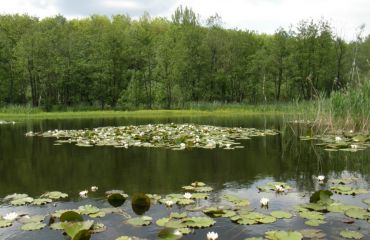 Ичнянский национальный природный парк 